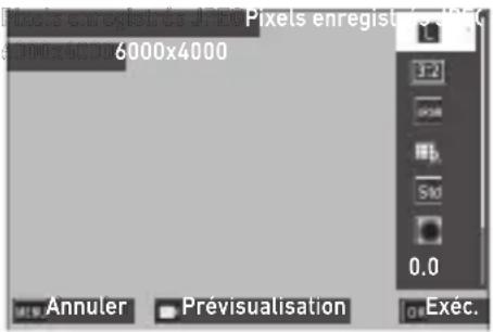 Pixels enregistrer de JPEG Pixels enregistrer de JPEG 6000x4000 6000x4000 Annuler Prévisualisation Exéc.