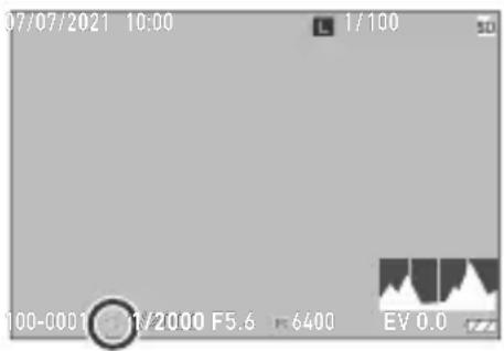 07/07/2021 10:00 1/100 100-0001 1/2000 F5.6 6400 EV 0.0