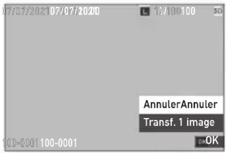 07/07/202107/07/2020 16/100100 AnnulerAnnuler Transf. 1 image OK