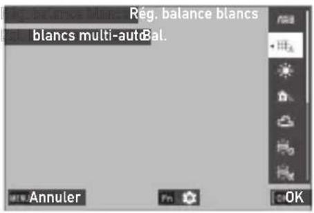 Rég. balance blancs blancs multi-autoBal.