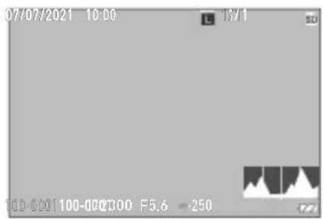 07/07/2021 10:00 13/1 100-0001 100-0002000 F5.6 -250