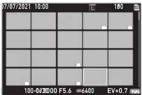 07/07/2021 10:00 100 100-07/2020 F5.6 6400 EV+0.7