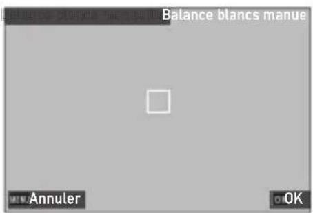 Balance blancs manue Annuler OK