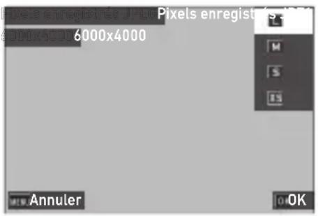 Pixels enregistrés JPE 6000x6000 6000x4000 Annuler OK