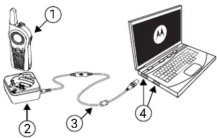 MOTOROLA Curve - Procedimiento: - 1