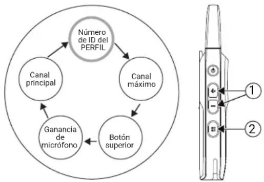 MOTOROLA Curve - Procedimiento: - 1