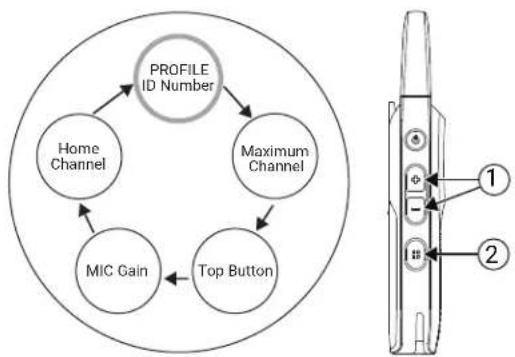 MOTOROLA Curve - Procedure: - 2