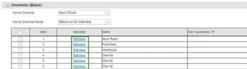 Channels (Basic) Home Channel Stock Room Home Channel Mode Return on all channels Index Edit More Name User Customized VP 1 Edit More Stock Room 2 Edit More Front Desk 3 Edit More Warehouse 4 Edit More Chan 04 5 Edit More Chan 05 6 Edit More Chan 06
