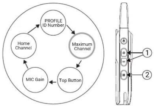 MOTOROLA Curve - Procedure: - 1