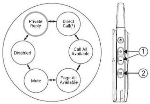 MOTOROLA Curve - Procedure: - 2