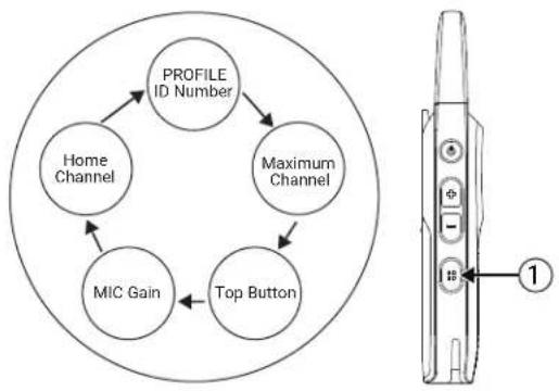 MOTOROLA Curve - Procedure: - 1