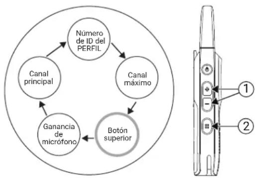 MOTOROLA Curve - Procedimiento: - 1