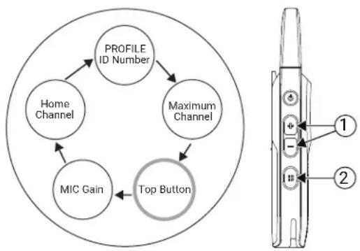 MOTOROLA Curve - Procedure: - 1