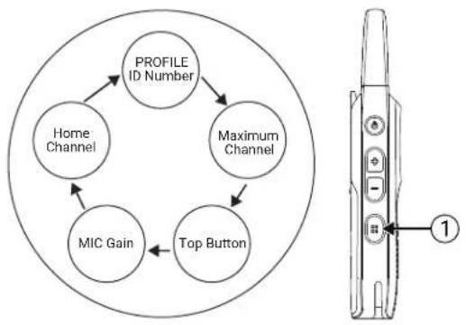 MOTOROLA Curve - Procedure: - 2