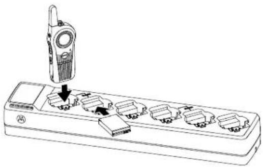 MOTOROLA Curve - Procedimento: - 1