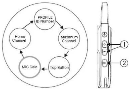 MOTOROLA Curve - Procedure: - 2
