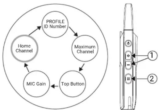 MOTOROLA Curve - Procedure: - 2