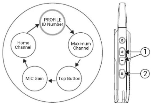 MOTOROLA Curve - Procedure: - 1