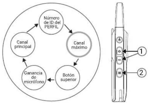 MOTOROLA Curve - Procedimiento: - 1