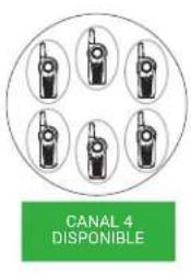 CANAL 4 DISPONIBLE