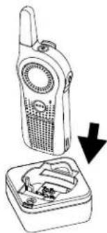 MOTOROLA Curve - Procedimiento: - 1