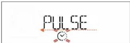 PULSE