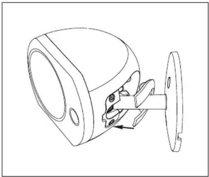 FOCAL Bird Pack 5.1 - BIRD® 5.1 家庭影院套装 - 3
