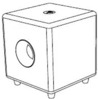 FOCAL Bird Pack 5.1 - Cub3 - 1