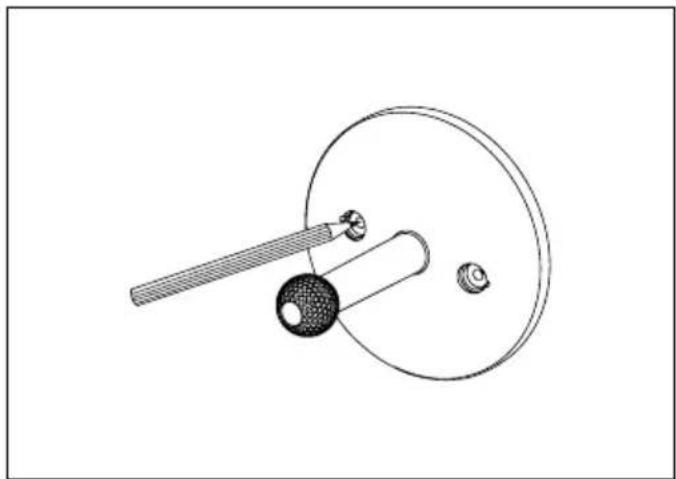 FOCAL Bird Pack 5.1 - Placement - 1