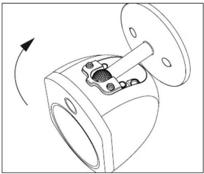 FOCAL Bird Pack 5.1 - BIRD® 5.1 家庭影院套装 - 1