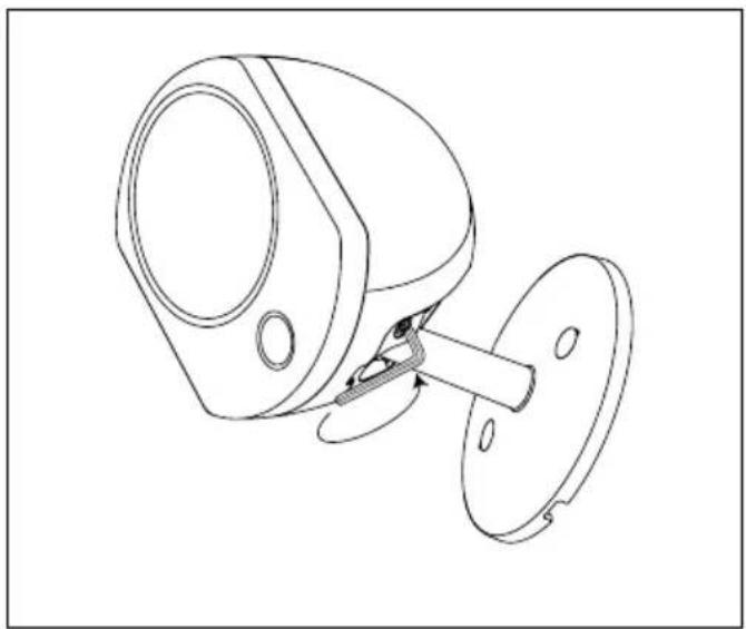 FOCAL Bird Pack 5.1 - BIRD® 5.1 家庭影院套装 - 2