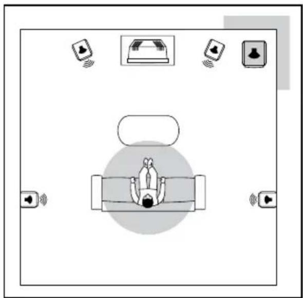 FOCAL Bird Pack 5.1 - Cub ^3 Positioning - 1