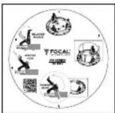 FOCAL 300 ICW4 - Painting - 62