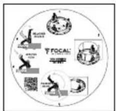 FOCAL 300 ICW4 - Painting - 6