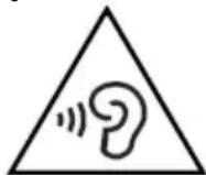 FOCAL 100 OD6T - IMPORTANT SAFETY INSTRUCTIONS! - 3