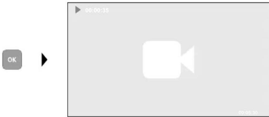 Laserliner VideoFlex HD Micro - Gengivelsesmodus: Gengivelse - 1