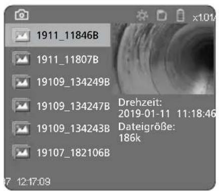 Laserliner VideoInspector 3D - Modalità riproduzione immagine Modalità riproduzione video - 1