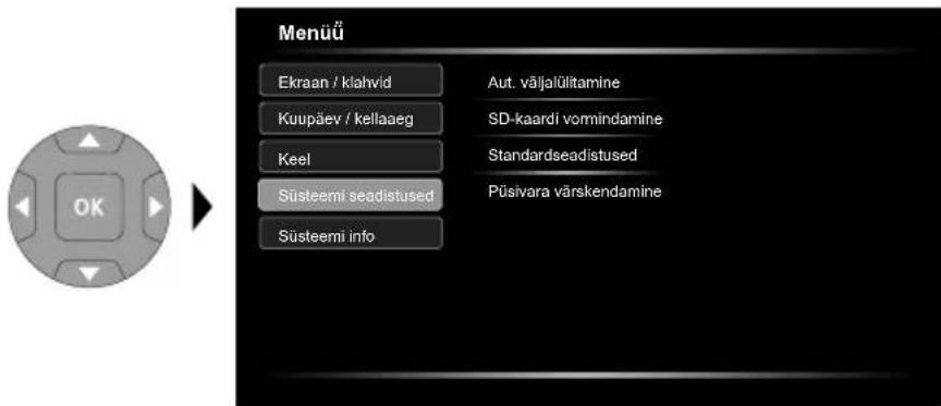 Laserliner VideoFlex HD Duo - Seadistusrežiim: Kuupaev / kellaag - 3
