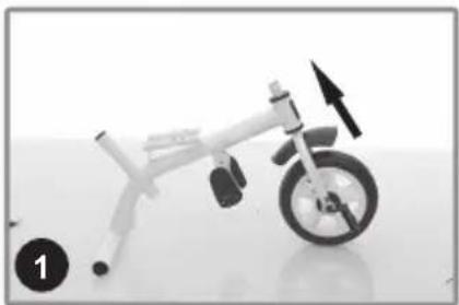 Chipolino Pulse - 2