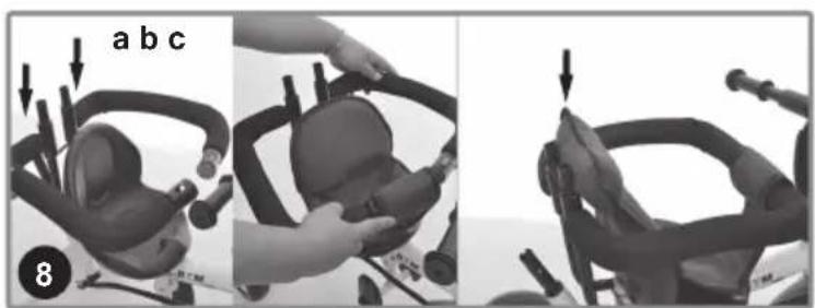 Chipolino Pulse - 10