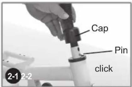 Chipolino Pulse - 3