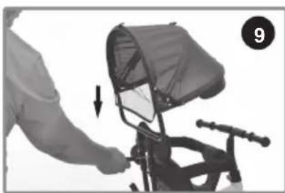 Chipolino Pulse - 11