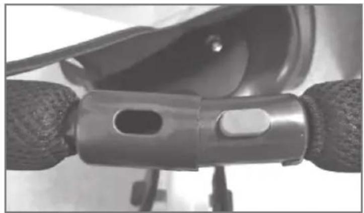 Chipolino Pulse - 18