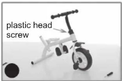 Chipolino Pulse - 4