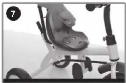 Chipolino Pulse - 9