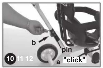 Chipolino Pulse - 12