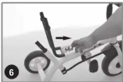 Chipolino Pulse - 8