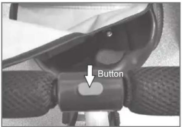 Chipolino Pulse - 17