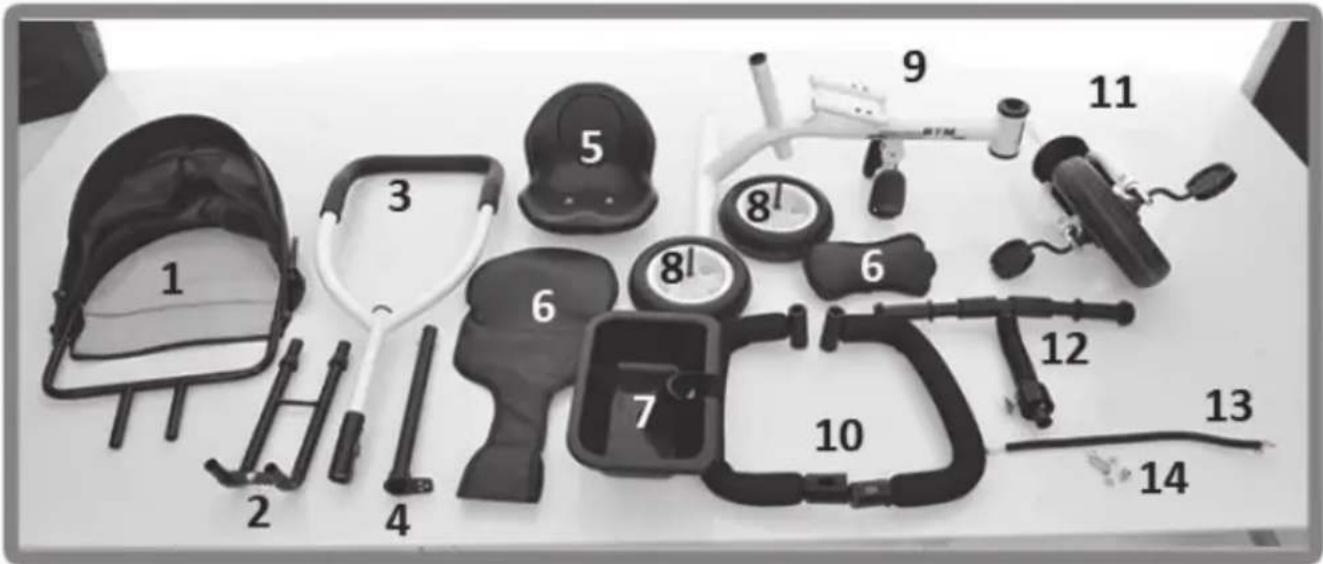 Chipolino Pulse - 1