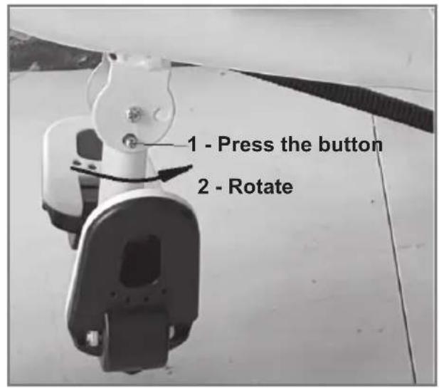 Chipolino Pulse - 16